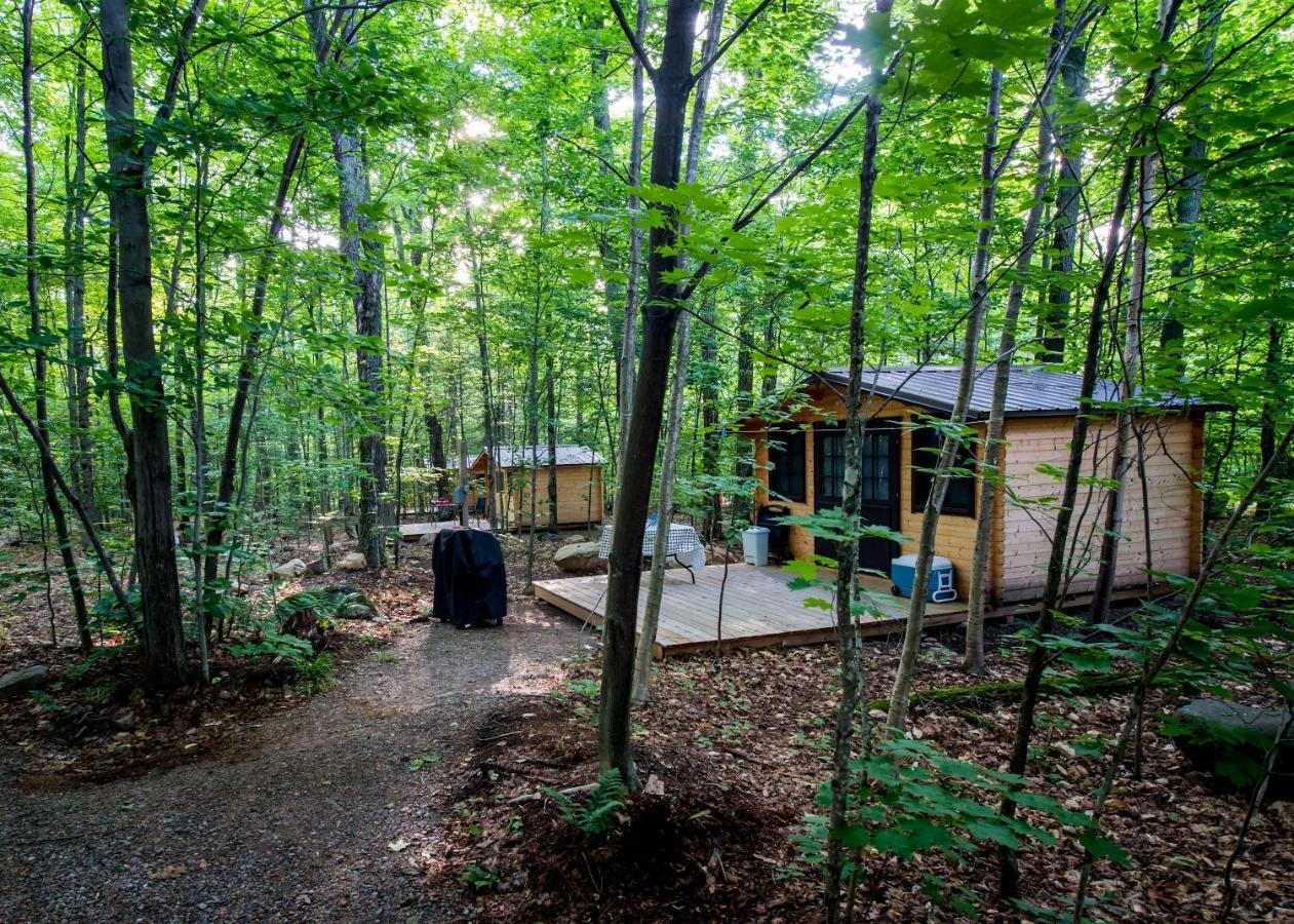 Madawaska Lodge-Cottage Buitenkant foto
